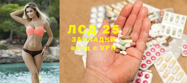 индика Беломорск