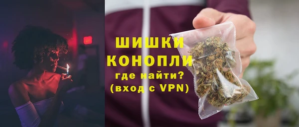 индика Беломорск