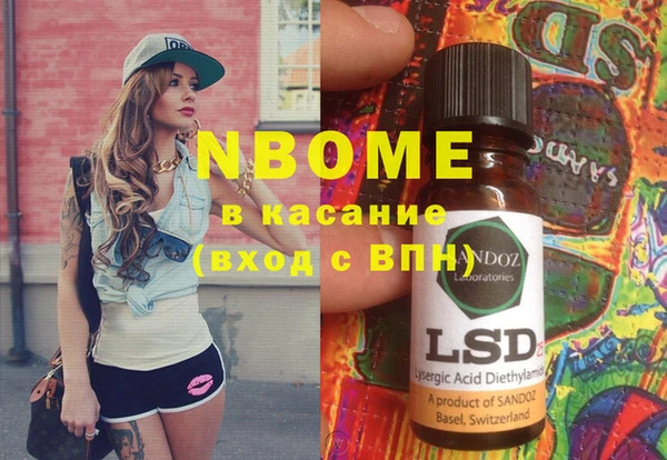 индика Беломорск