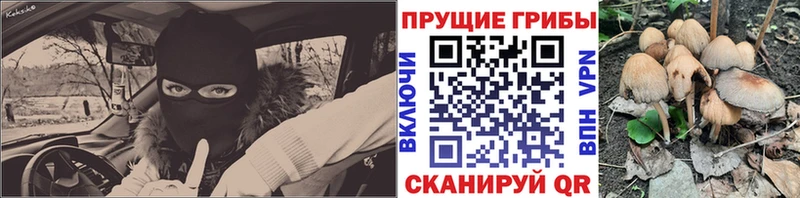 Псилоцибиновые грибы прущие грибы  Купить где  Семёнов 